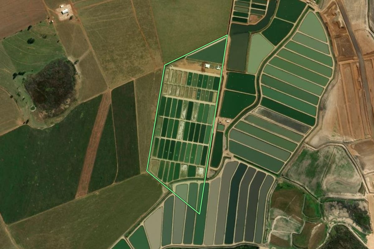 Imagem de satélite do imóvel rural em Terra Rica (PR), com o contorno declarado no CAR desenhado por cima.