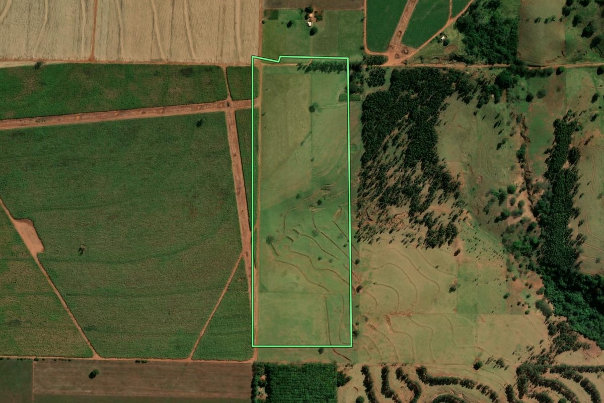 Imagem de satélite do imóvel rural em Terra Rica (PR), com o contorno declarado no CAR desenhado por cima.