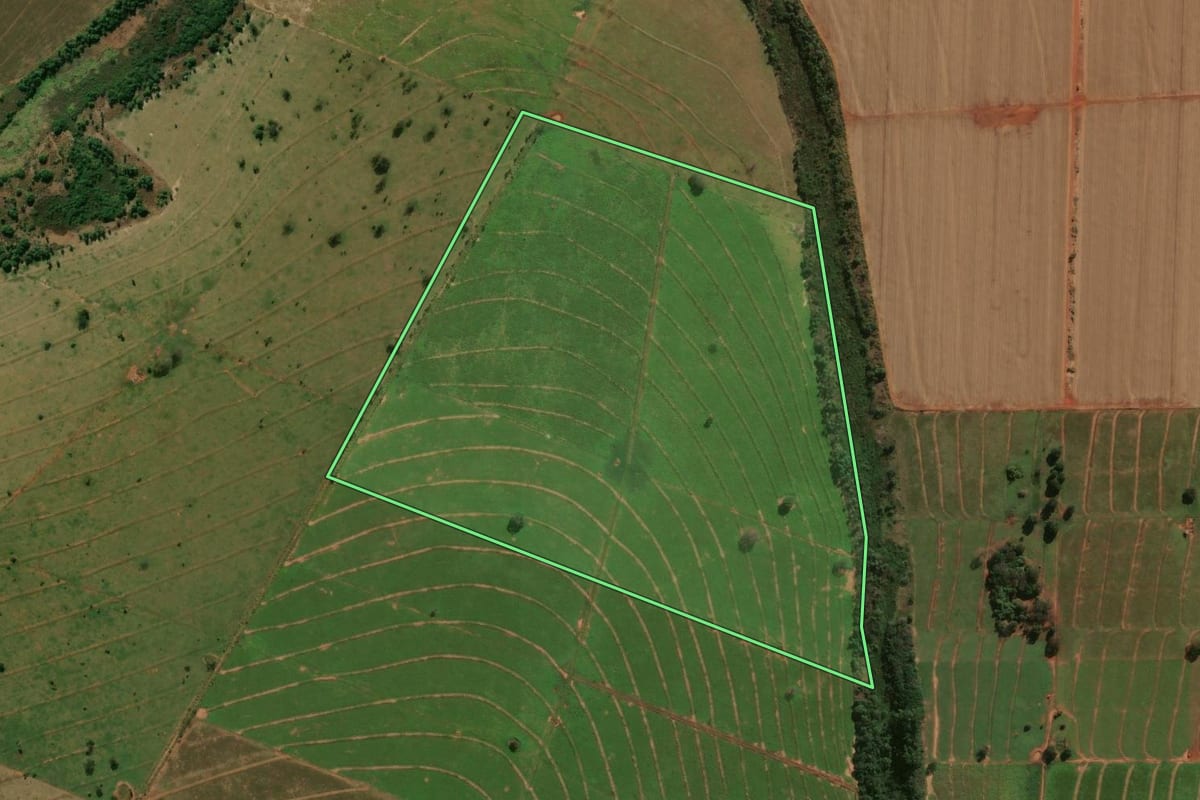 Imagem de satélite do imóvel rural em Terra Rica (PR), com o contorno declarado no CAR desenhado por cima.