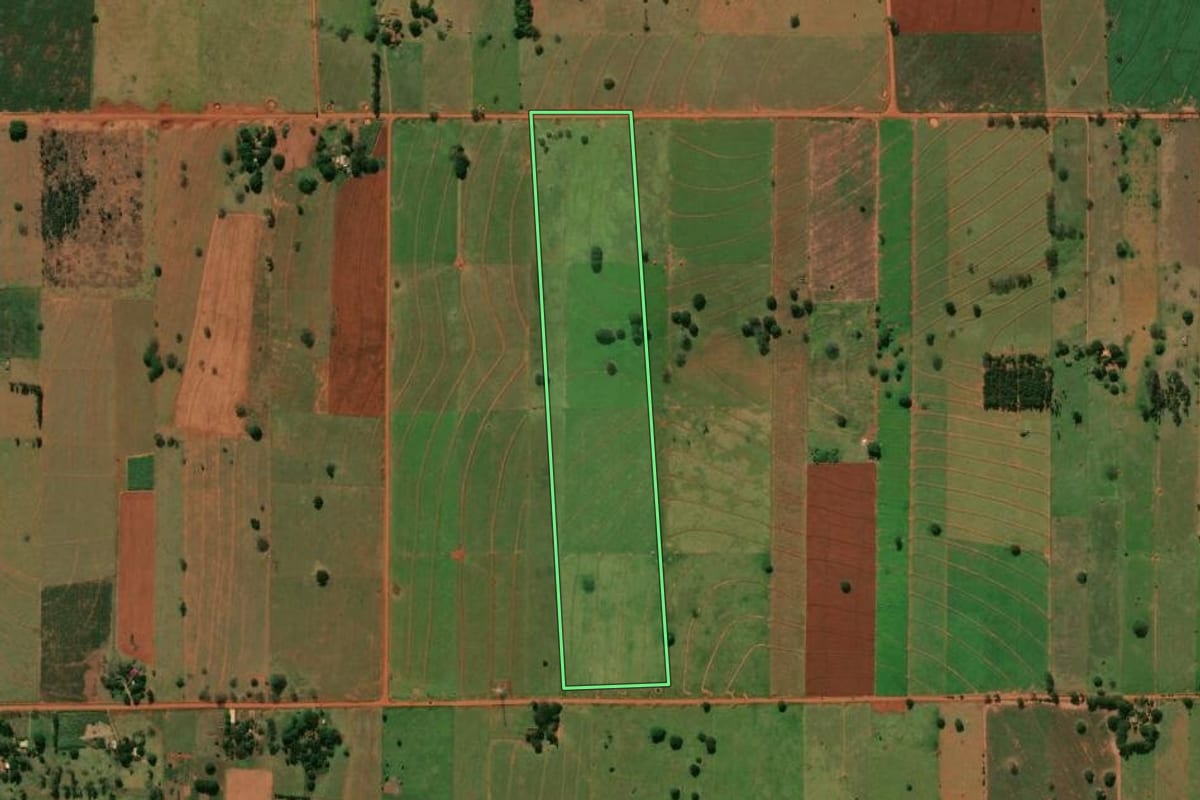 Imagem de satélite do imóvel rural em Terra Rica (PR), com o contorno declarado no CAR desenhado por cima.