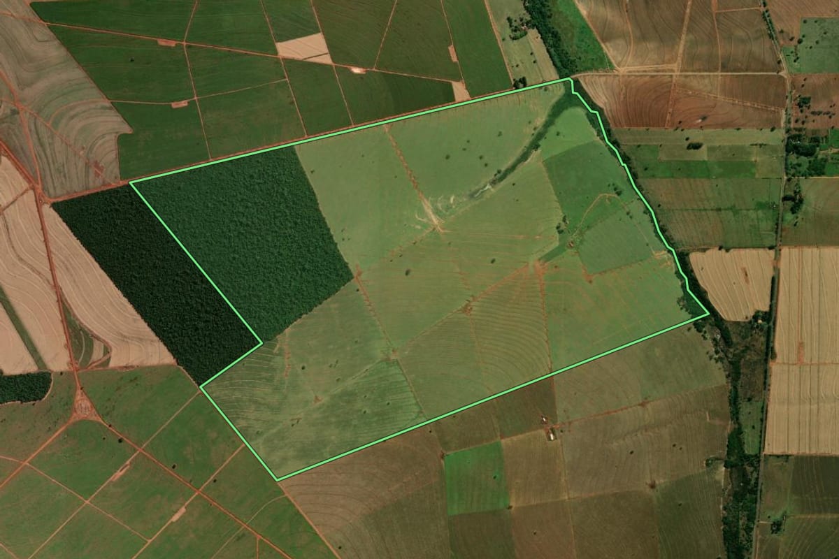 Imagem de satélite do imóvel rural em Terra Rica (PR), com o contorno declarado no CAR desenhado por cima.