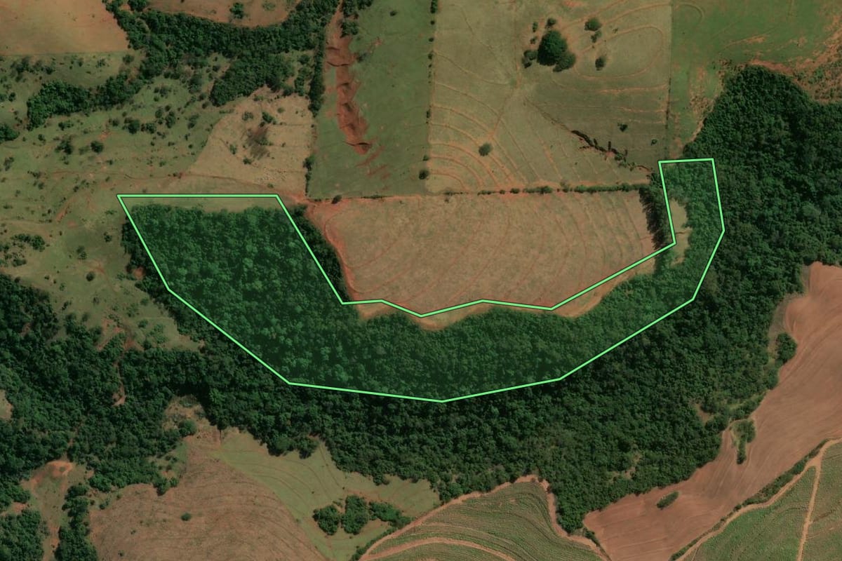 Imagem de satélite do imóvel rural em Terra Rica (PR), com o contorno declarado no CAR desenhado por cima.