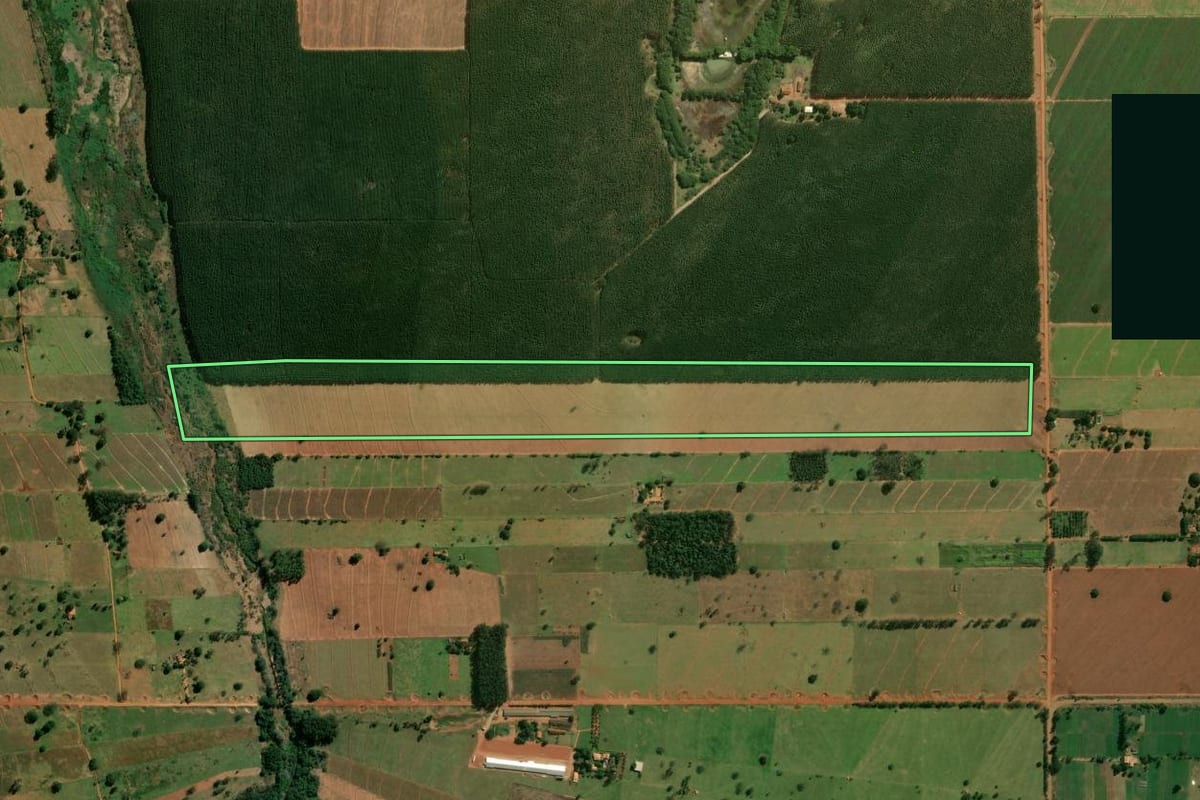 Imagem de satélite do imóvel rural em Terra Rica (PR), com o contorno declarado no CAR desenhado por cima.