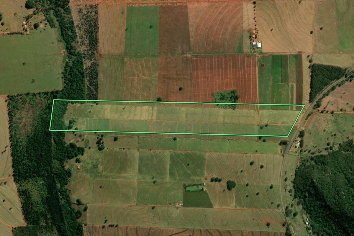Imagem de satélite do imóvel rural em Terra Rica (PR), com o contorno declarado no CAR desenhado por cima.