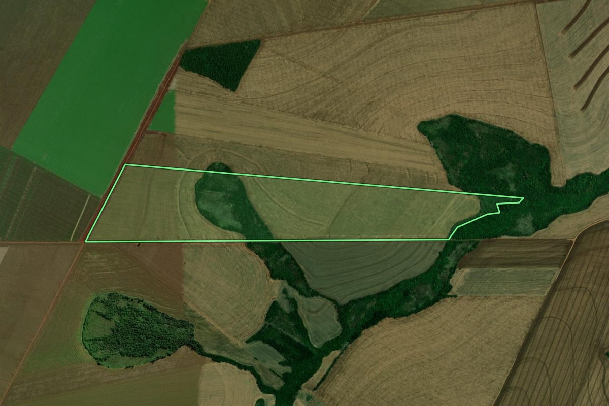 Imagem de satélite do imóvel rural em Terra Roxa (PR), com o contorno declarado no CAR desenhado por cima.