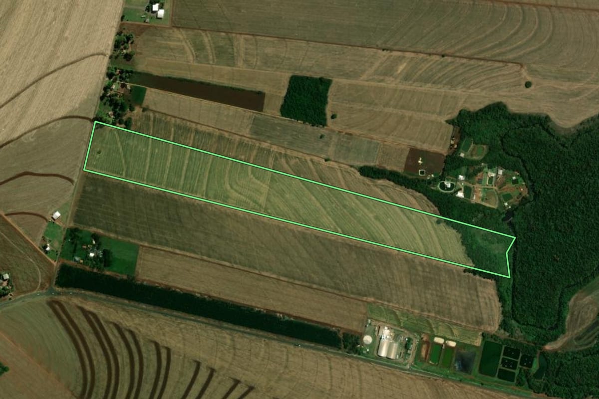 Imagem de satélite do imóvel rural em Terra Roxa (PR), com o contorno declarado no CAR desenhado por cima.