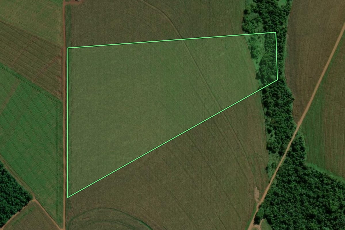 Imagem de satélite do imóvel rural em Terra Roxa (PR), com o contorno declarado no CAR desenhado por cima.
