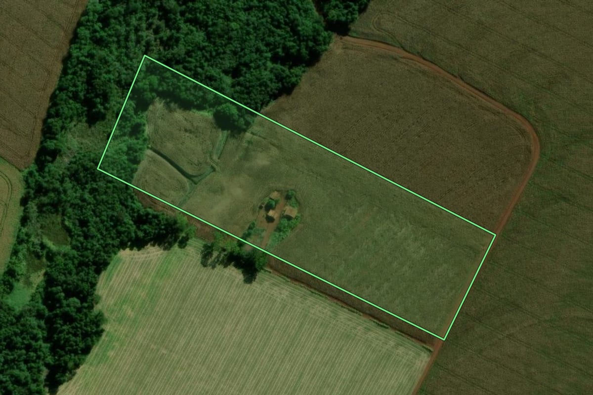 Imagem de satélite do imóvel rural em Terra Roxa (PR), com o contorno declarado no CAR desenhado por cima.