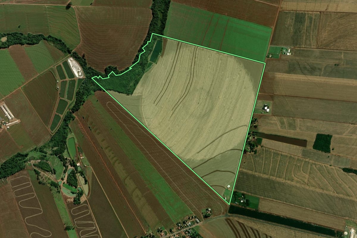 Imagem de satélite do imóvel rural em Terra Roxa (PR), com o contorno declarado no CAR desenhado por cima.