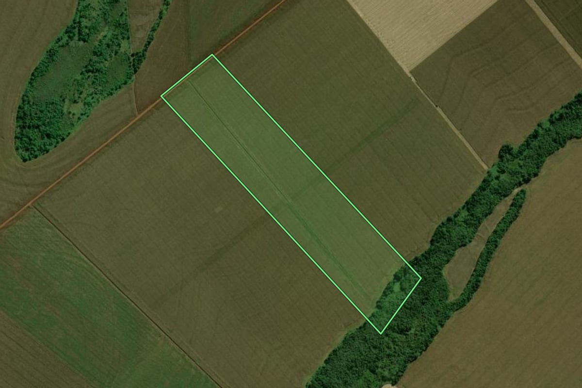 Imagem de satélite do imóvel rural em Terra Roxa (PR), com o contorno declarado no CAR desenhado por cima.