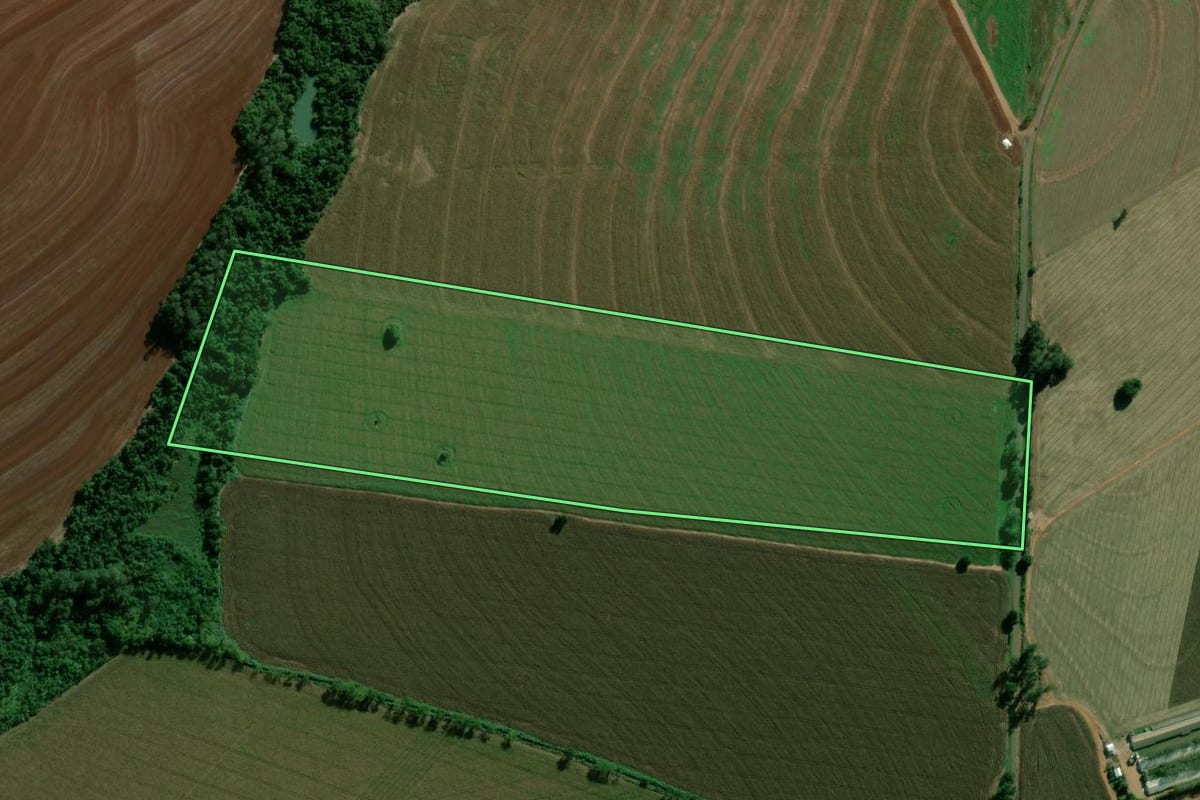 Imagem de satélite do imóvel rural em Terra Roxa (PR), com o contorno declarado no CAR desenhado por cima.