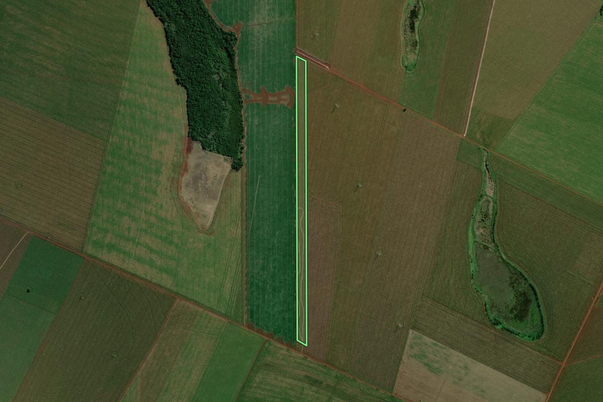 Imagem de satélite do imóvel rural em Terra Roxa (PR), com o contorno declarado no CAR desenhado por cima.