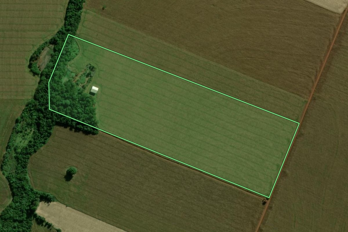 Imagem de satélite do imóvel rural em Terra Roxa (PR), com o contorno declarado no CAR desenhado por cima.