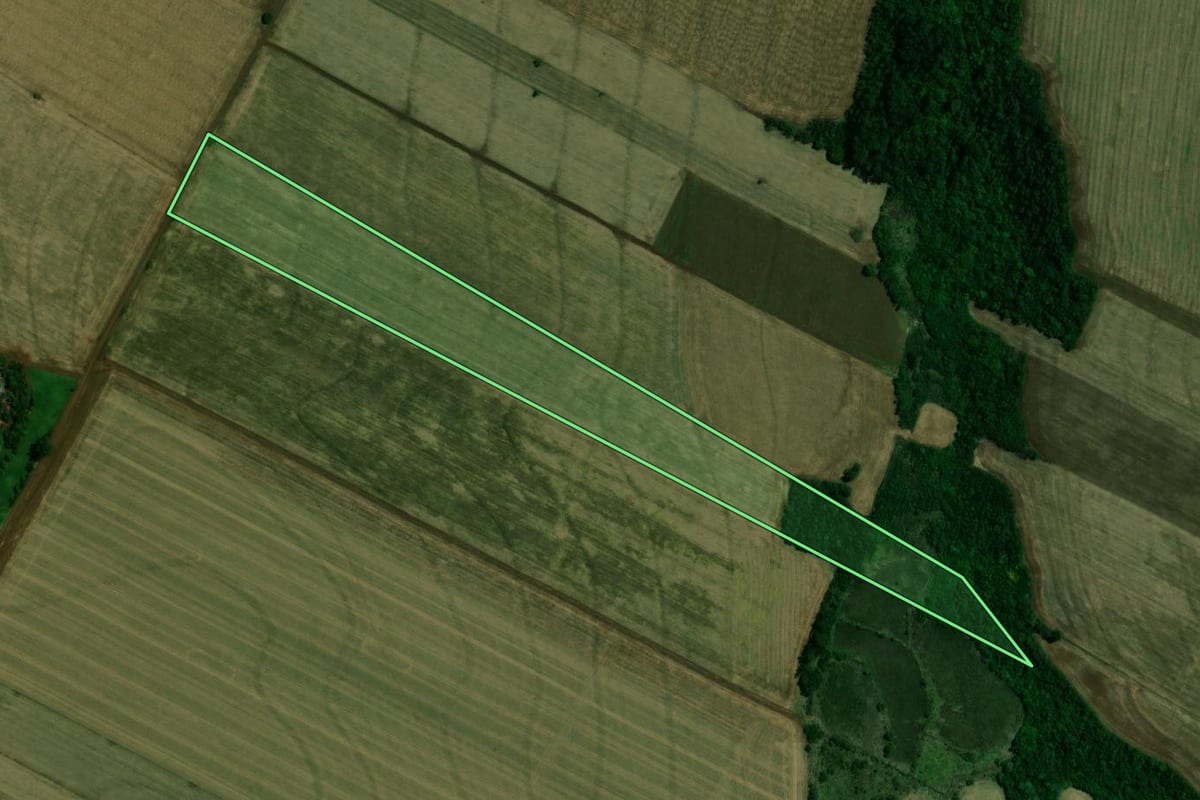 Imagem de satélite do imóvel rural em Terra Roxa (PR), com o contorno declarado no CAR desenhado por cima.