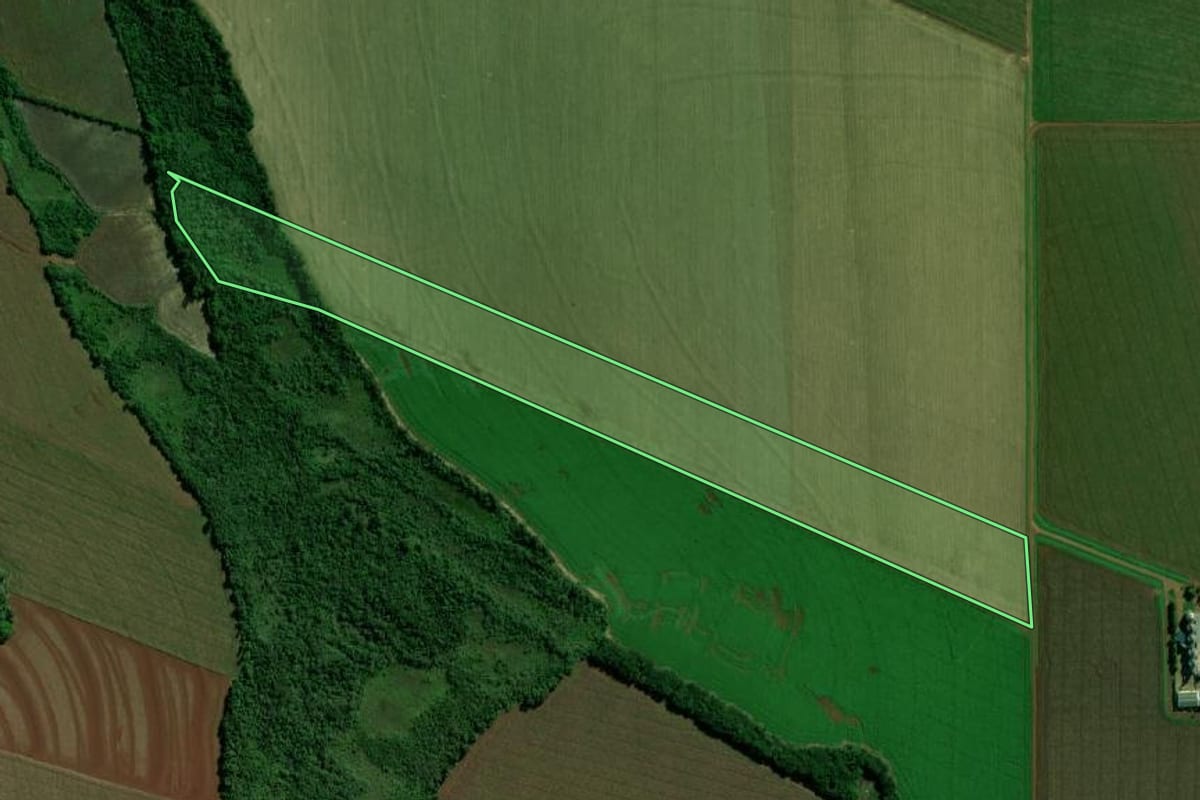 Imagem de satélite do imóvel rural em Terra Roxa (PR), com o contorno declarado no CAR desenhado por cima.