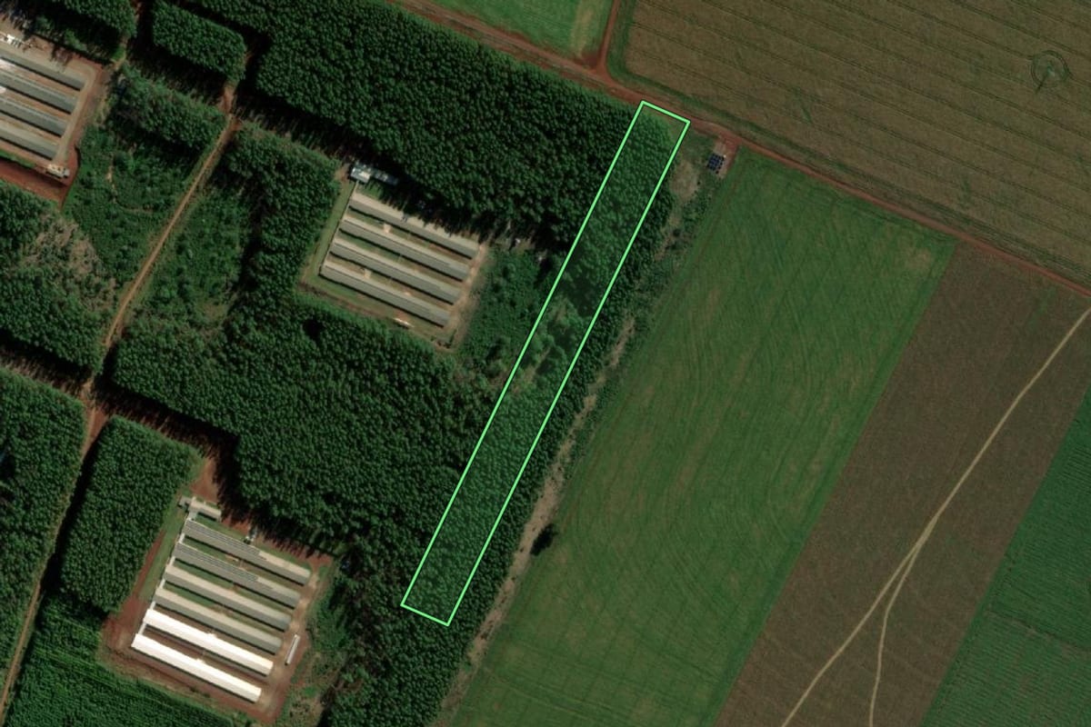 Imagem de satélite do imóvel rural em Terra Roxa (PR), com o contorno declarado no CAR desenhado por cima.