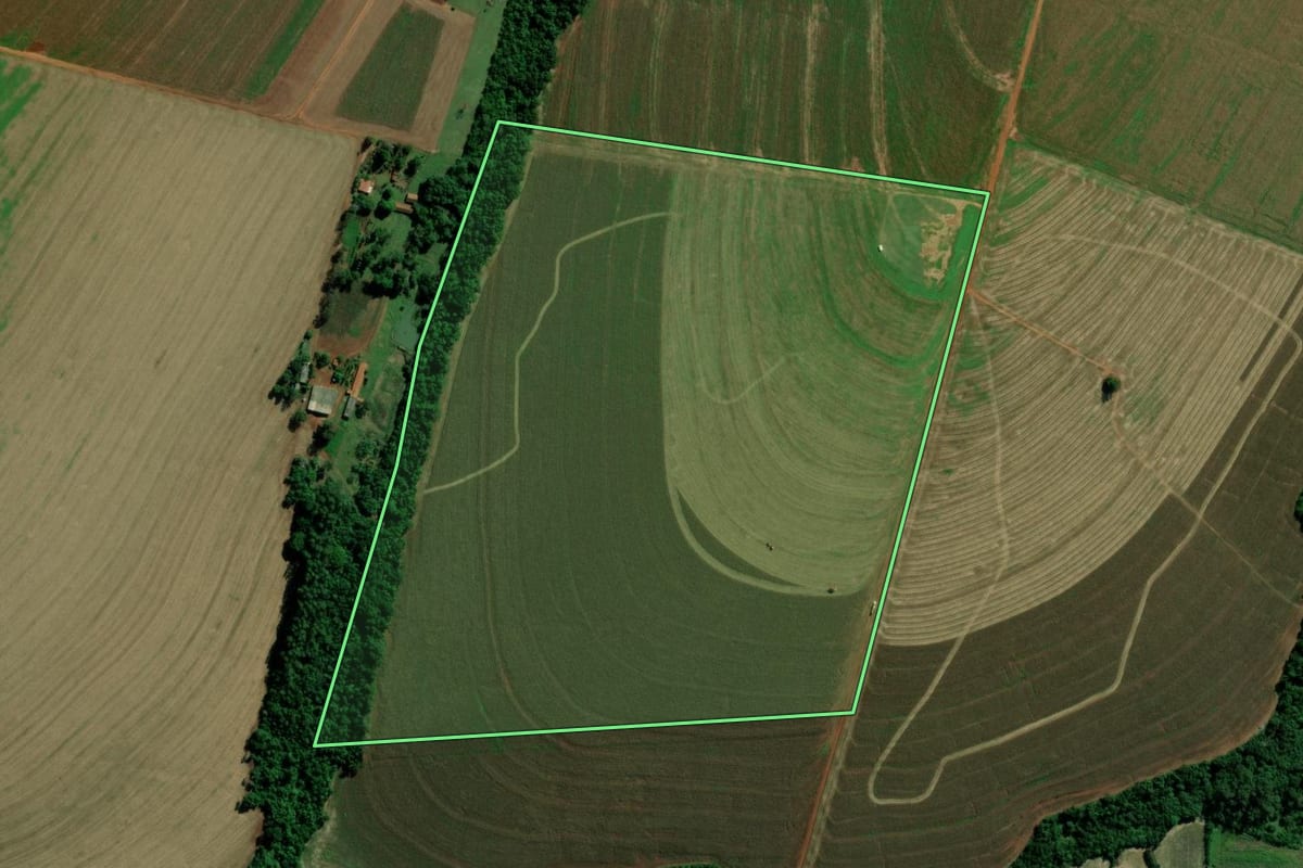 Imagem de satélite do imóvel rural em Terra Roxa (PR), com o contorno declarado no CAR desenhado por cima.