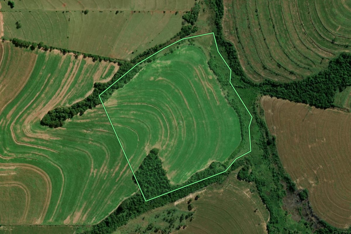 Imagem de satélite do imóvel rural em Terra Roxa (PR), com o contorno declarado no CAR desenhado por cima.