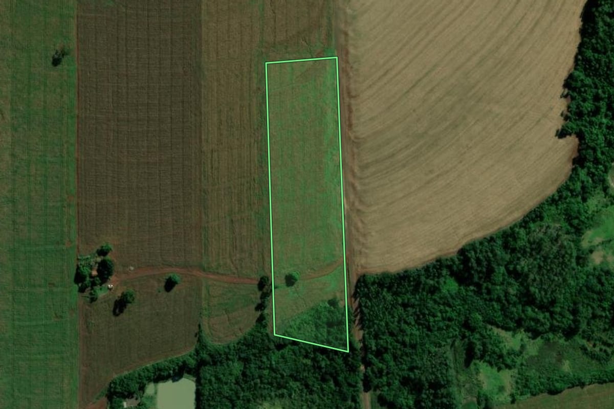 Imagem de satélite do imóvel rural em Terra Roxa (PR), com o contorno declarado no CAR desenhado por cima.