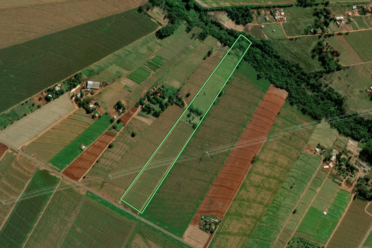 Imagem de satélite do imóvel rural em Terra Roxa (PR), com o contorno declarado no CAR desenhado por cima.