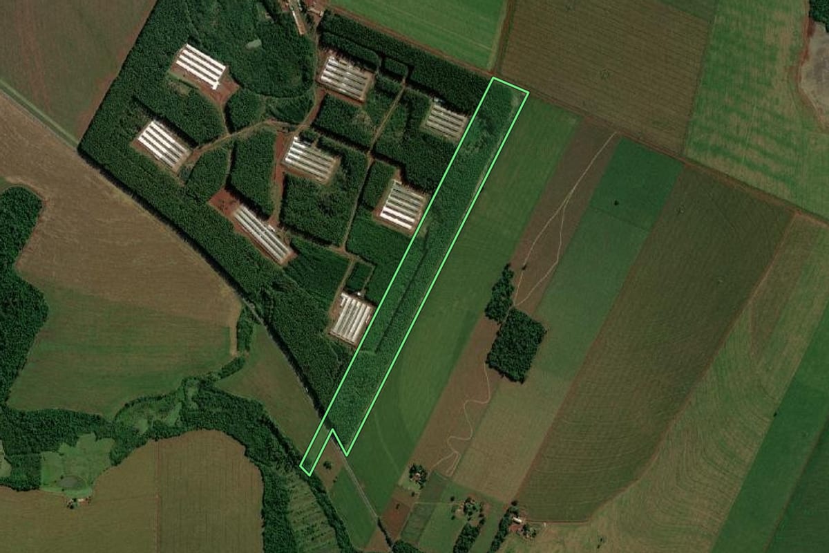 Imagem de satélite do imóvel rural em Terra Roxa (PR), com o contorno declarado no CAR desenhado por cima.