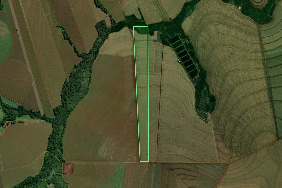 Imagem de satélite do imóvel rural em Terra Roxa (PR), com o contorno declarado no CAR desenhado por cima.