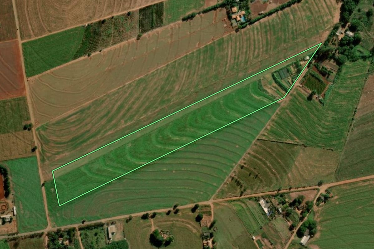 Imagem de satélite do imóvel rural em Terra Roxa (PR), com o contorno declarado no CAR desenhado por cima.