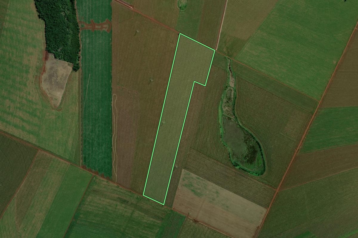 Imagem de satélite do imóvel rural em Terra Roxa (PR), com o contorno declarado no CAR desenhado por cima.
