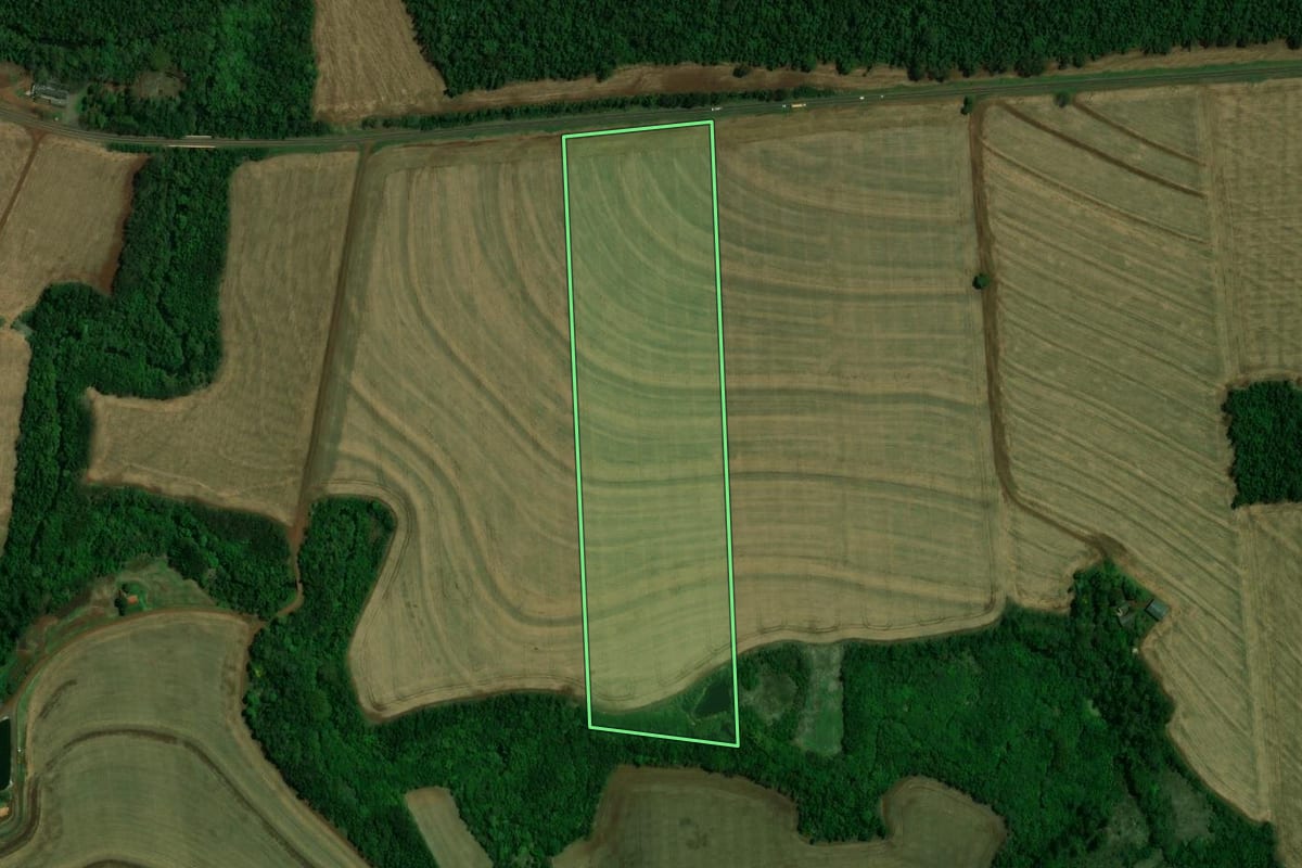 Imagem de satélite do imóvel rural em Terra Roxa (PR), com o contorno declarado no CAR desenhado por cima.