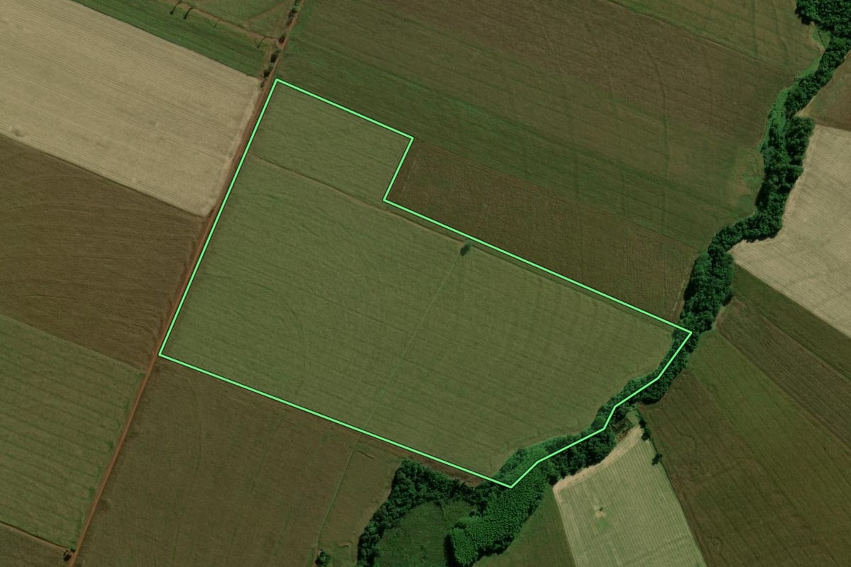 Imagem de satélite do imóvel rural em Terra Roxa (PR), com o contorno declarado no CAR desenhado por cima.