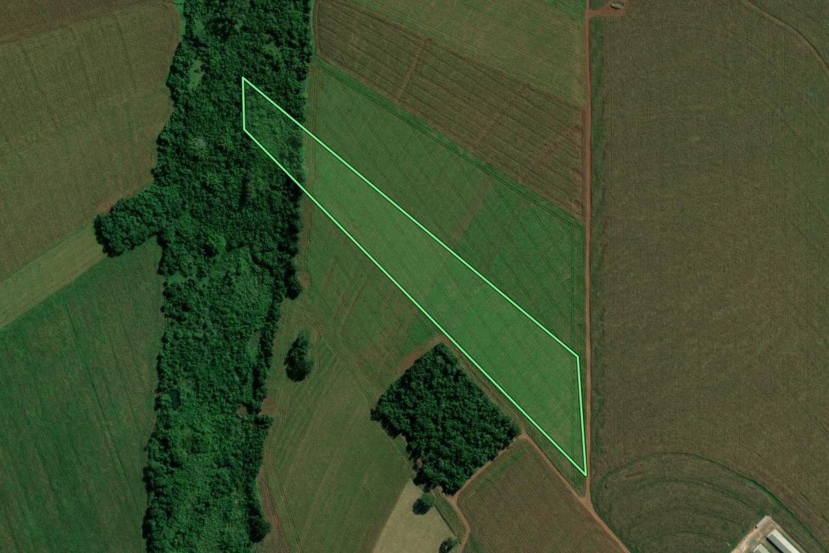 Imagem de satélite do imóvel rural em Terra Roxa (PR), com o contorno declarado no CAR desenhado por cima.