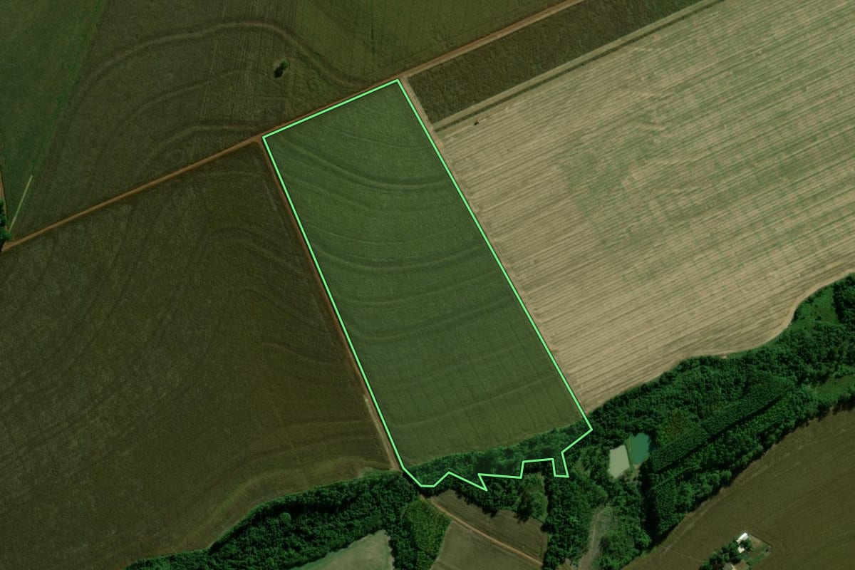Imagem de satélite do imóvel rural em Terra Roxa (PR), com o contorno declarado no CAR desenhado por cima.