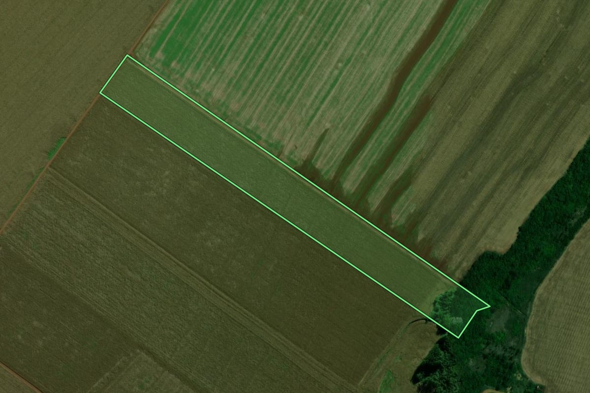 Imagem de satélite do imóvel rural em Terra Roxa (PR), com o contorno declarado no CAR desenhado por cima.