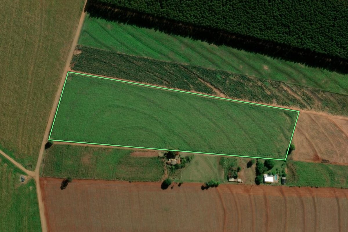 Imagem de satélite do imóvel rural em Terra Roxa (PR), com o contorno declarado no CAR desenhado por cima.