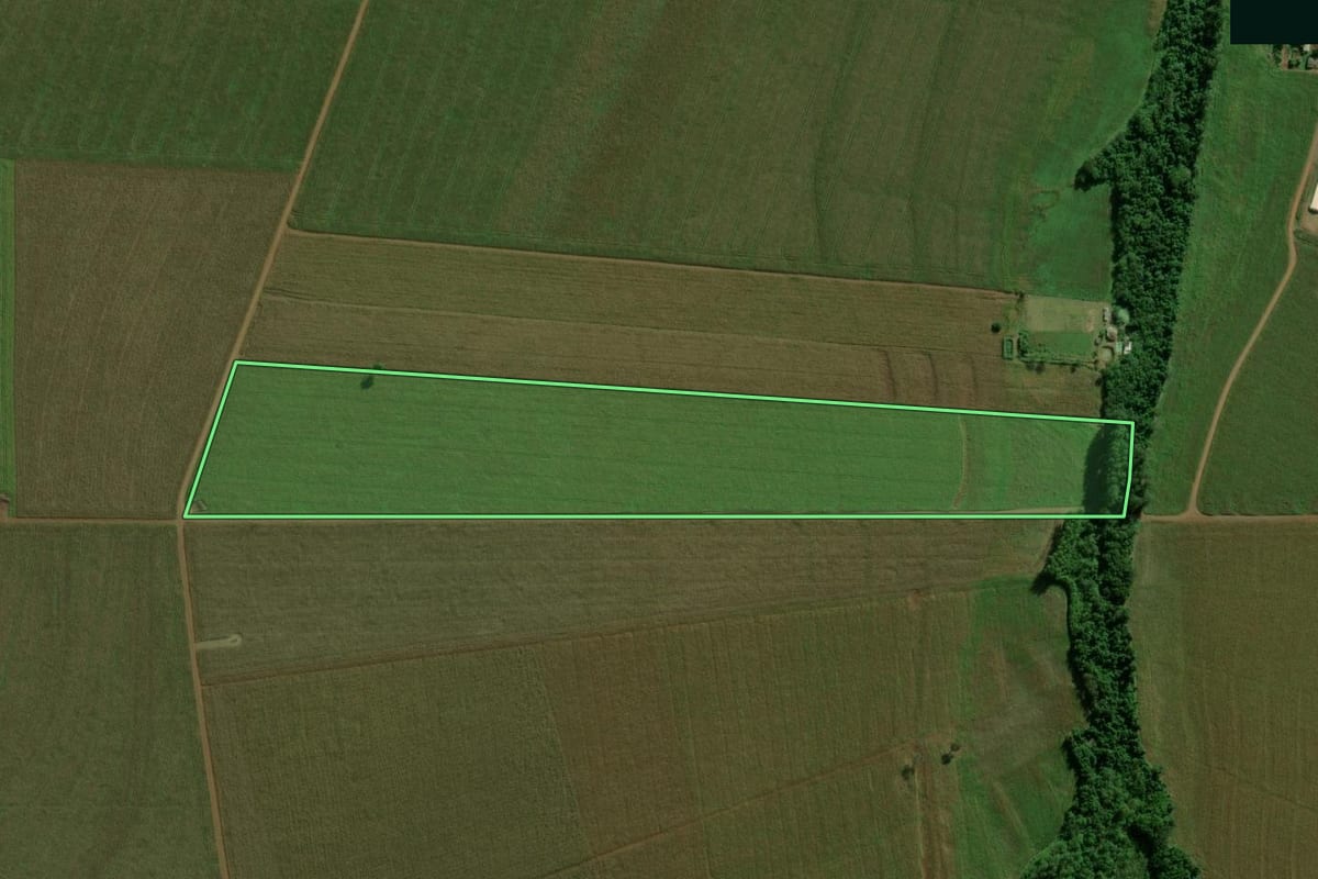 Imagem de satélite do imóvel rural em Terra Roxa (PR), com o contorno declarado no CAR desenhado por cima.