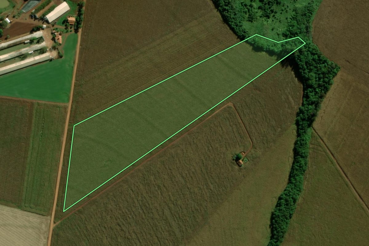 Imagem de satélite do imóvel rural em Terra Roxa (PR), com o contorno declarado no CAR desenhado por cima.
