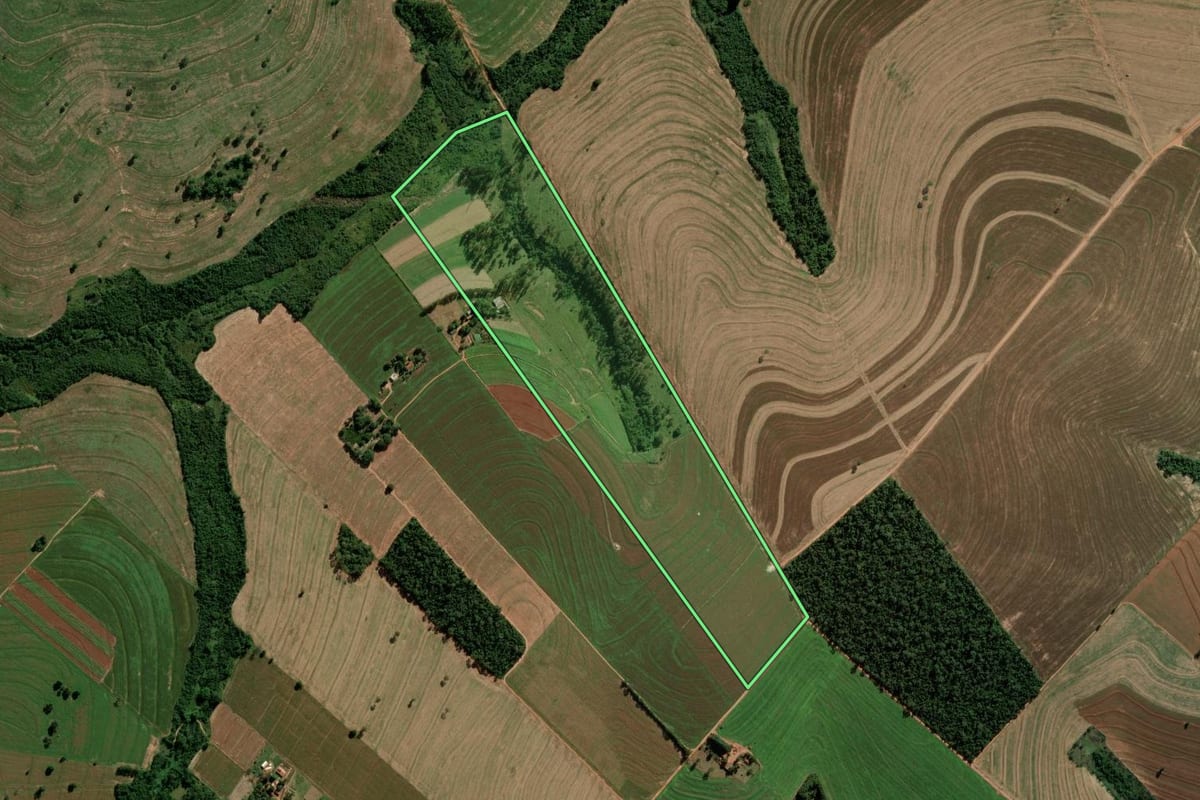 Imagem de satélite do imóvel rural em Terra Roxa (PR), com o contorno declarado no CAR desenhado por cima.