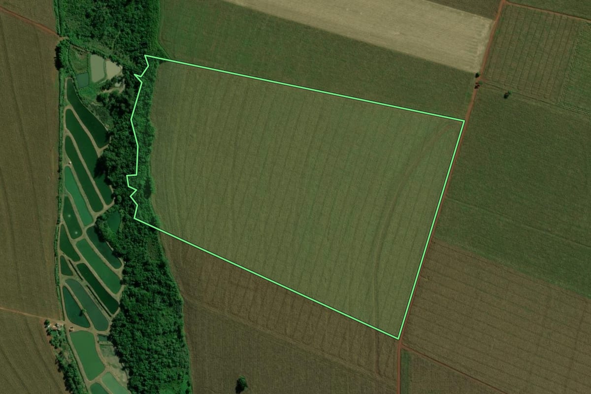 Imagem de satélite do imóvel rural em Terra Roxa (PR), com o contorno declarado no CAR desenhado por cima.