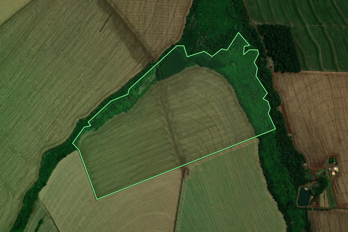 Imagem de satélite do imóvel rural em Terra Roxa (PR), com o contorno declarado no CAR desenhado por cima.