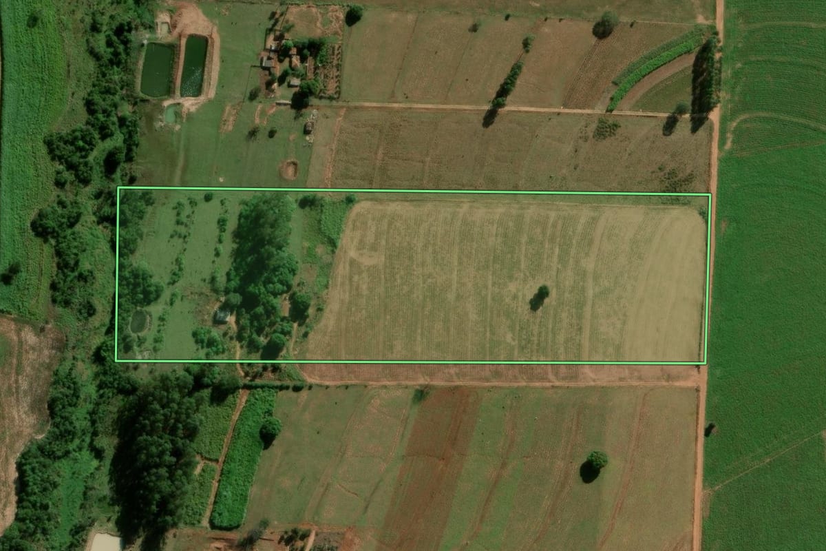 Imagem de satélite do imóvel rural em Terra Roxa (PR), com o contorno declarado no CAR desenhado por cima.