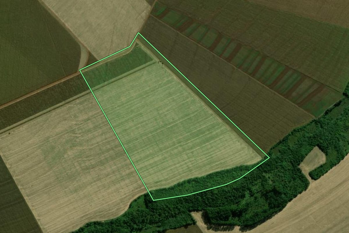 Imagem de satélite do imóvel rural em Terra Roxa (PR), com o contorno declarado no CAR desenhado por cima.