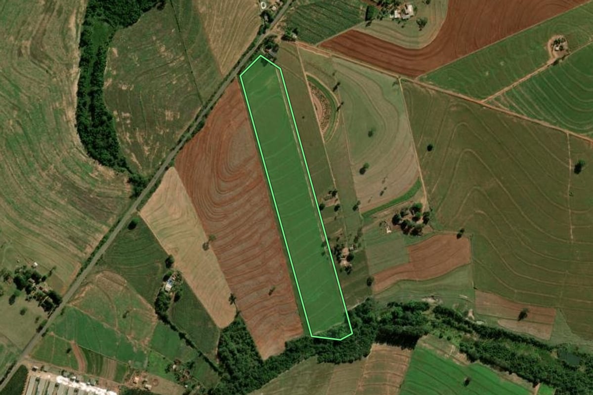 Imagem de satélite do imóvel rural em Terra Roxa (PR), com o contorno declarado no CAR desenhado por cima.