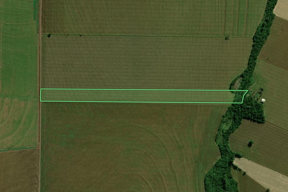 Imagem de satélite do imóvel rural em Terra Roxa (PR), com o contorno declarado no CAR desenhado por cima.