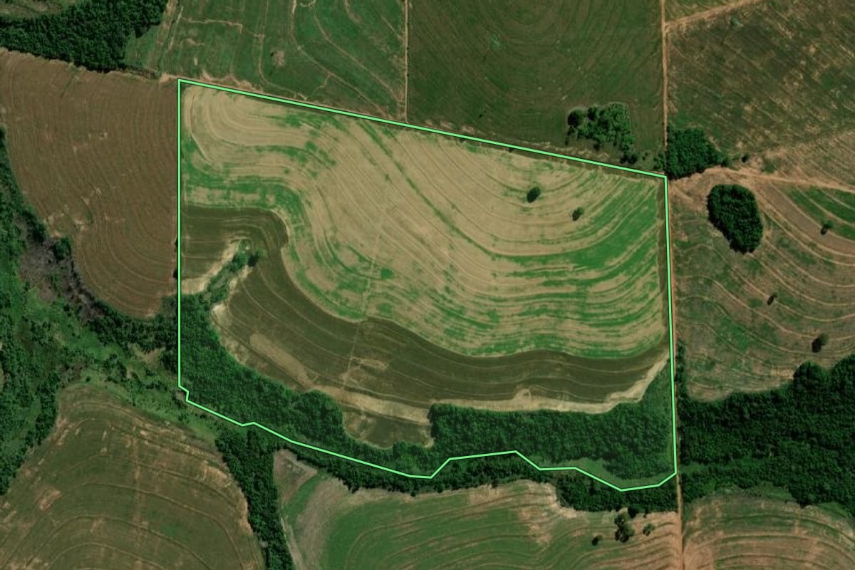 Imagem de satélite do imóvel rural em Terra Roxa (PR), com o contorno declarado no CAR desenhado por cima.