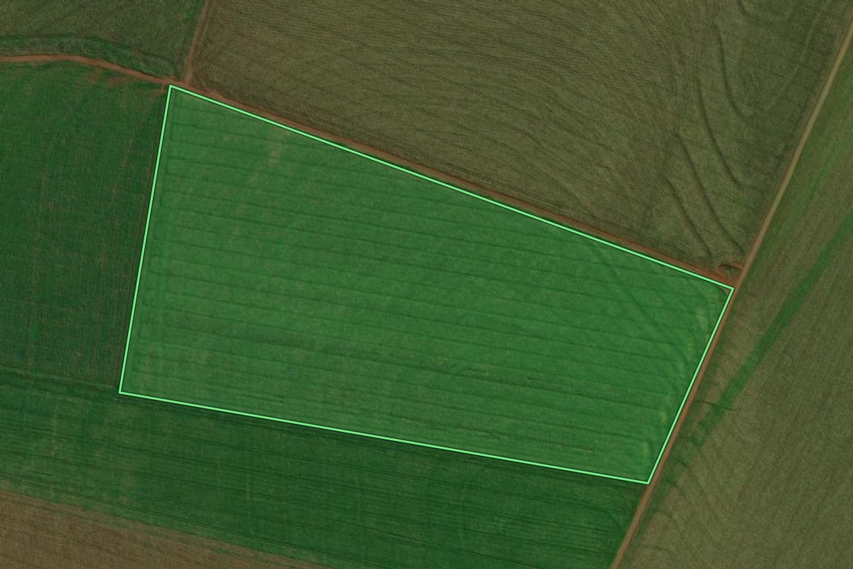 Imagem de satélite do imóvel rural em Terra Roxa (PR), com o contorno declarado no CAR desenhado por cima.