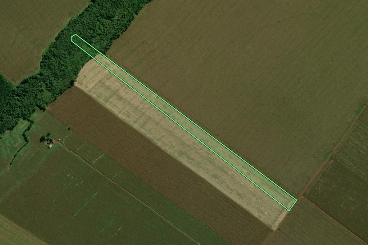 Imagem de satélite do imóvel rural em Terra Roxa (PR), com o contorno declarado no CAR desenhado por cima.