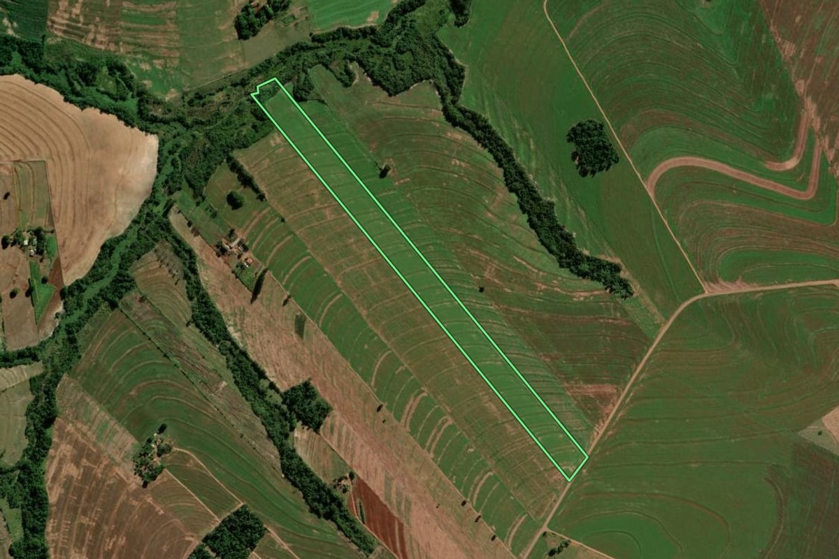 Imagem de satélite do imóvel rural em Terra Roxa (PR), com o contorno declarado no CAR desenhado por cima.