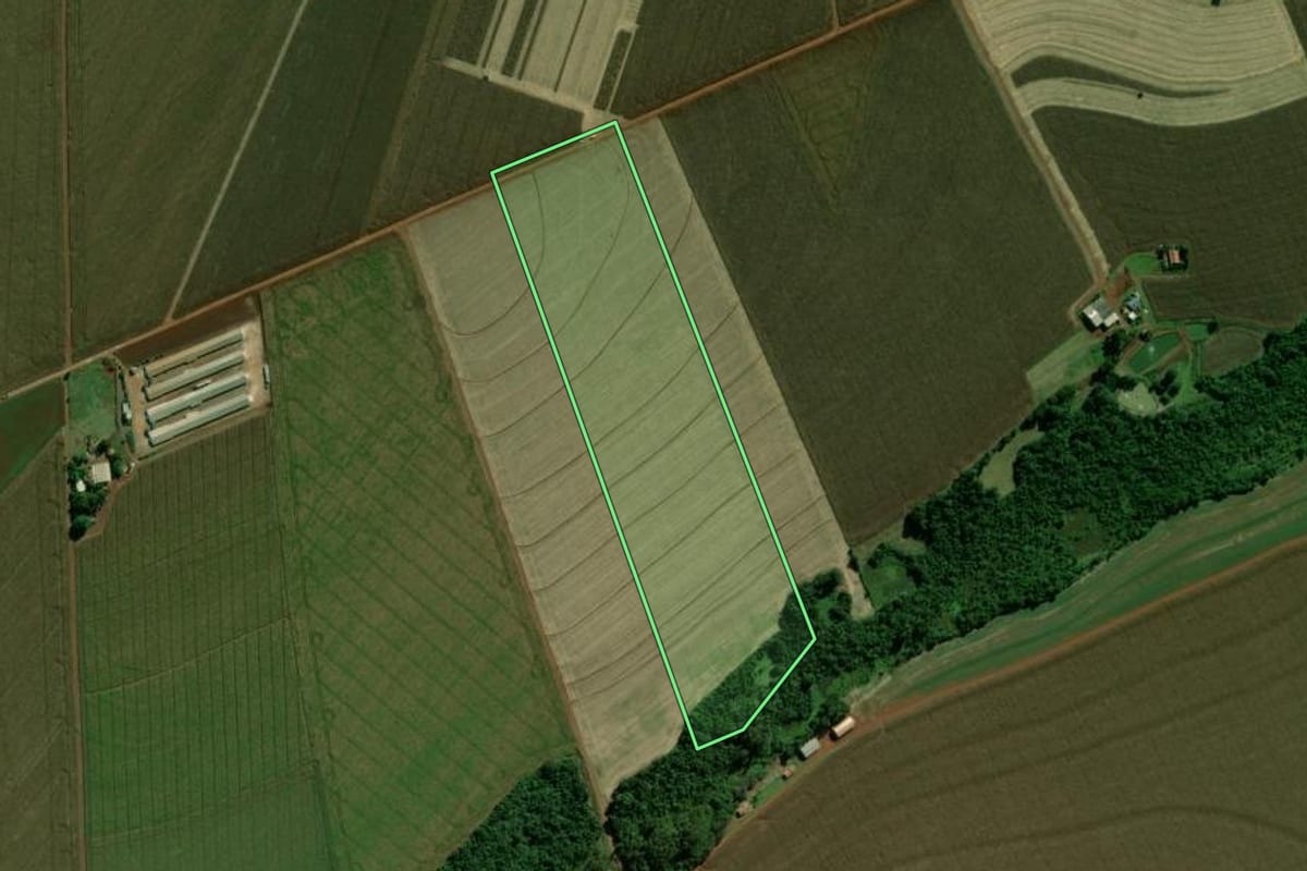 Imagem de satélite do imóvel rural em Terra Roxa (PR), com o contorno declarado no CAR desenhado por cima.