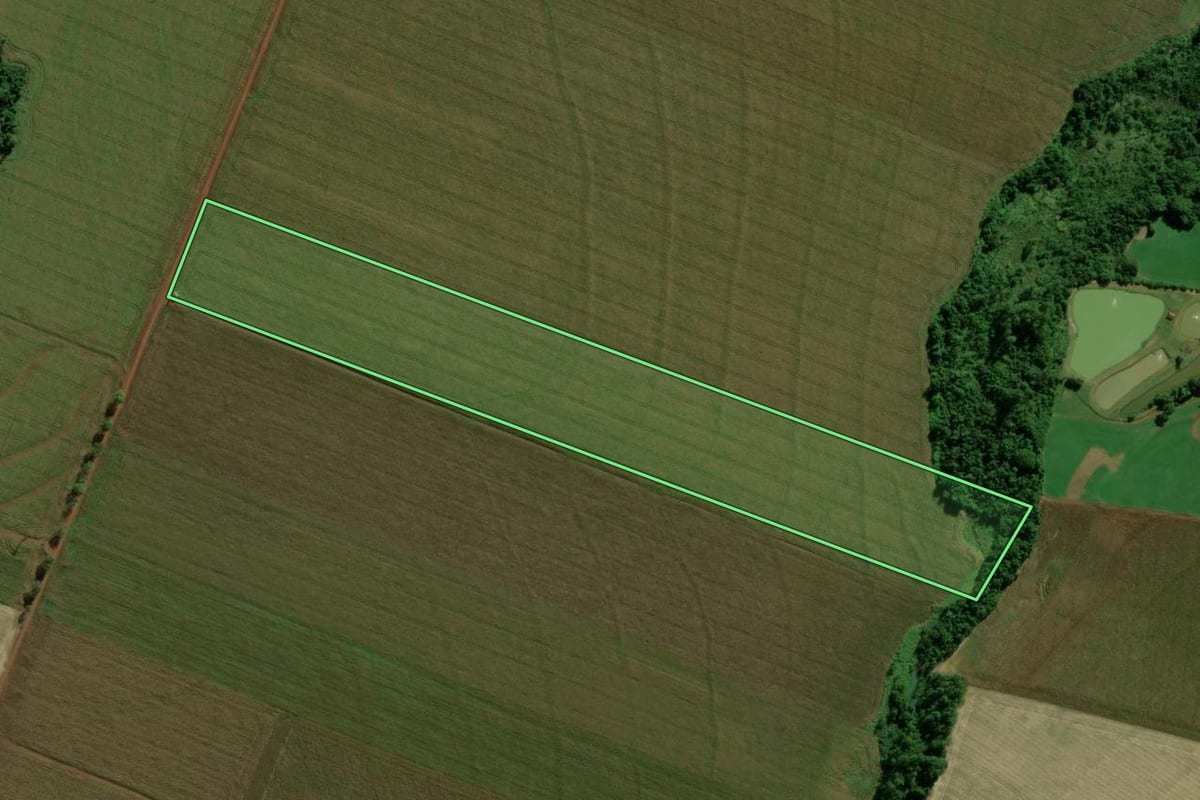 Imagem de satélite do imóvel rural em Terra Roxa (PR), com o contorno declarado no CAR desenhado por cima.