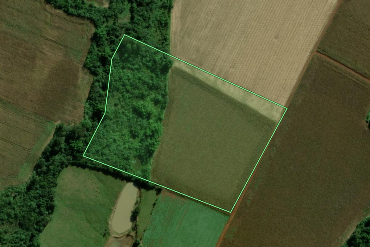 Imagem de satélite do imóvel rural em Terra Roxa (PR), com o contorno declarado no CAR desenhado por cima.
